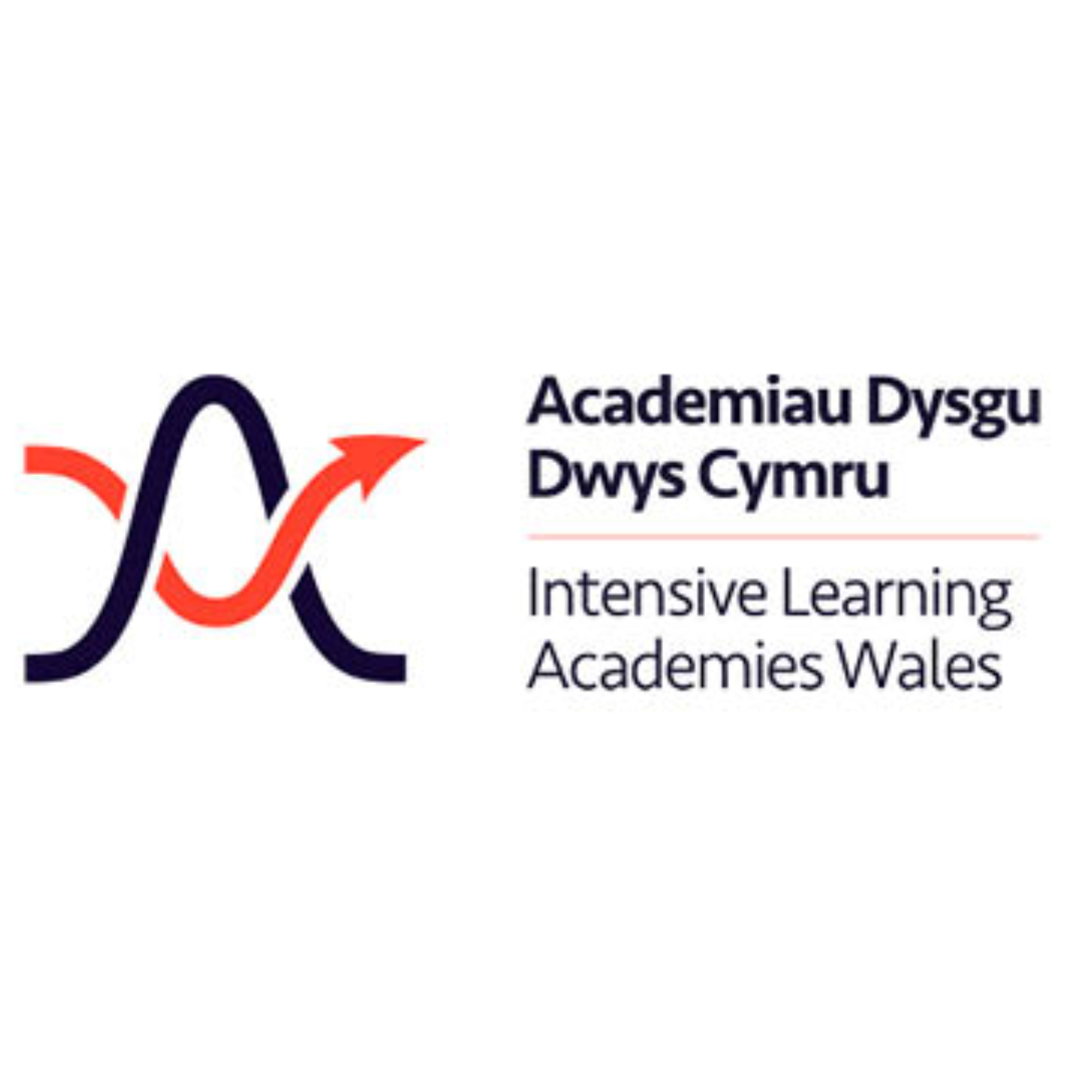 Intensive Learning Academies Logo